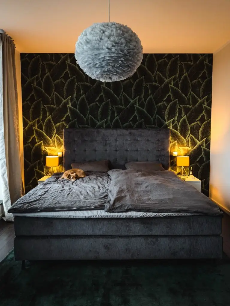 5F152FCB-C511-491B-81C0-D5E031015A1E